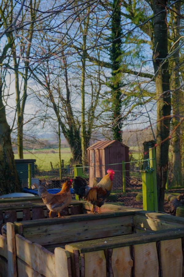 Willa Meadow Barn Hereford Zewnętrze zdjęcie